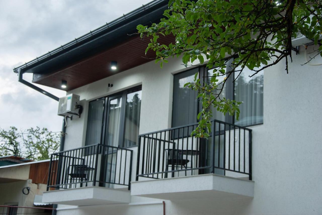 Likani Home Borjomi Luaran gambar