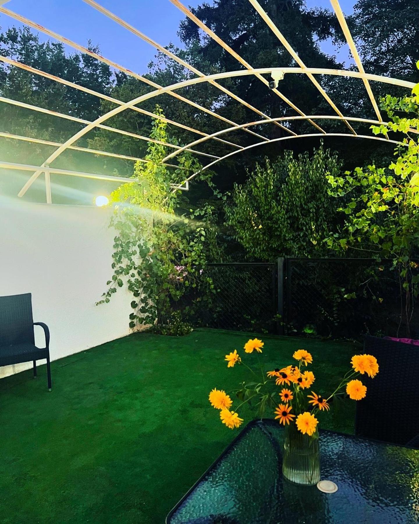 Likani Home Borjomi Luaran gambar